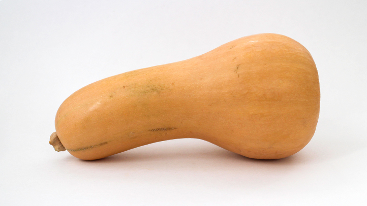 how to introduce butternut squash