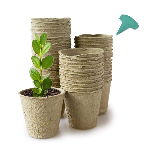 Pack of 30 4-inch peat pots, with one pot containing soil and a growing green, leafy plant
